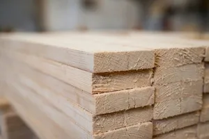 dvigubo pjovimo lentos